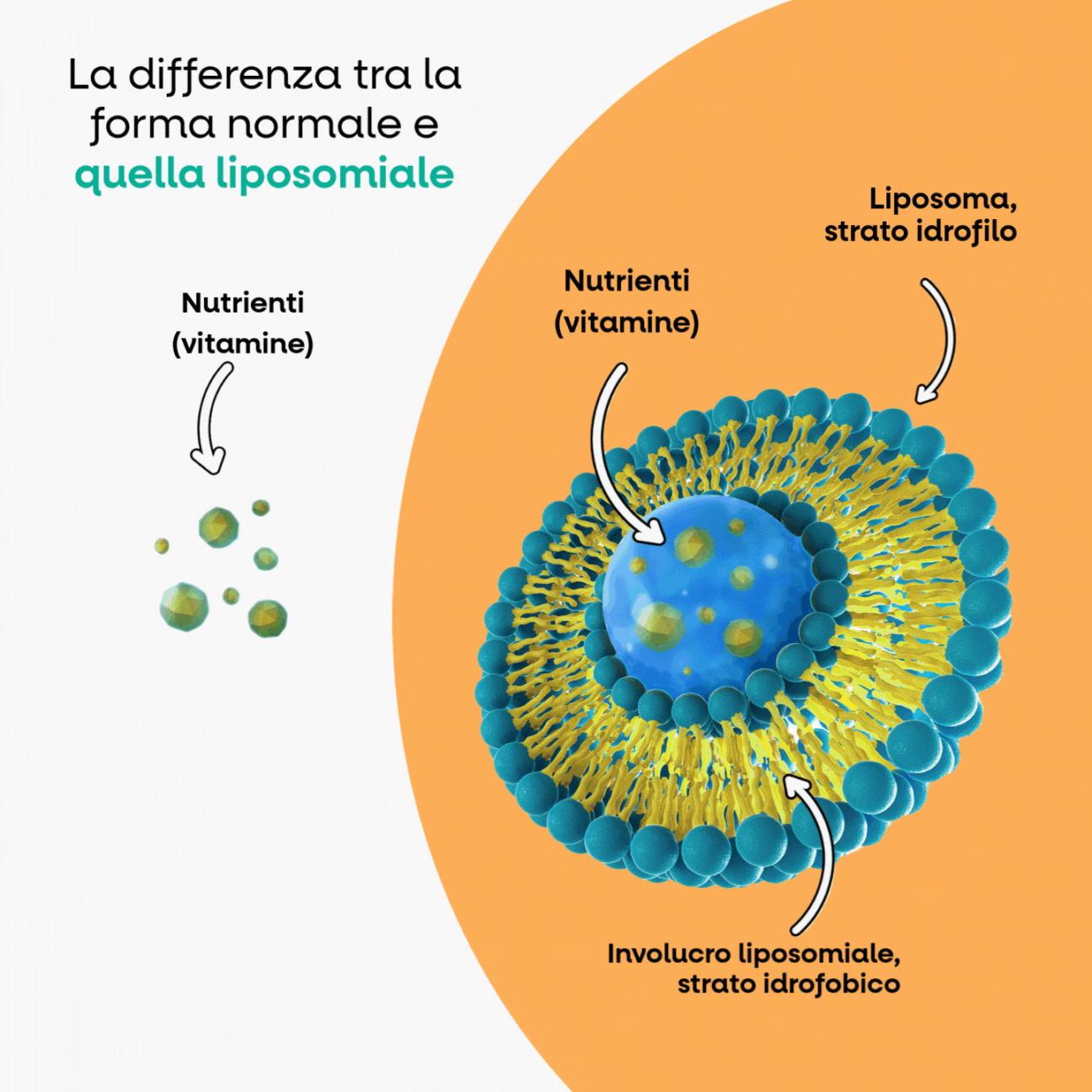 BrainMax IMMUNIZER DRINK, nápoj pro podporu imunity, 20 sáčků